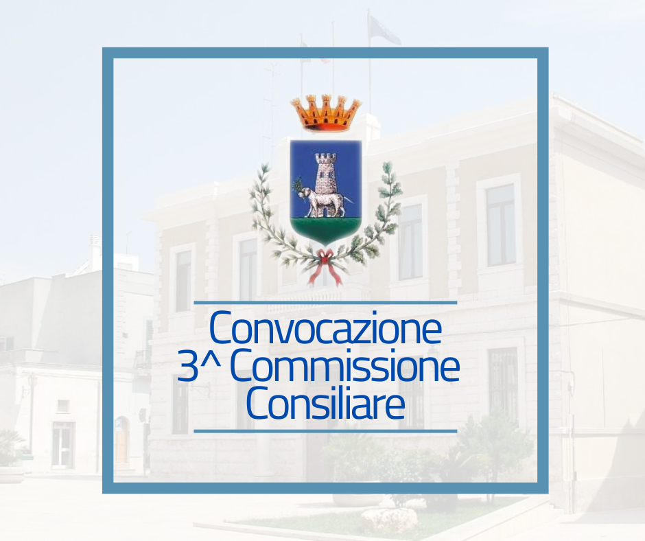 Immagine: Convocazione3Commissione175