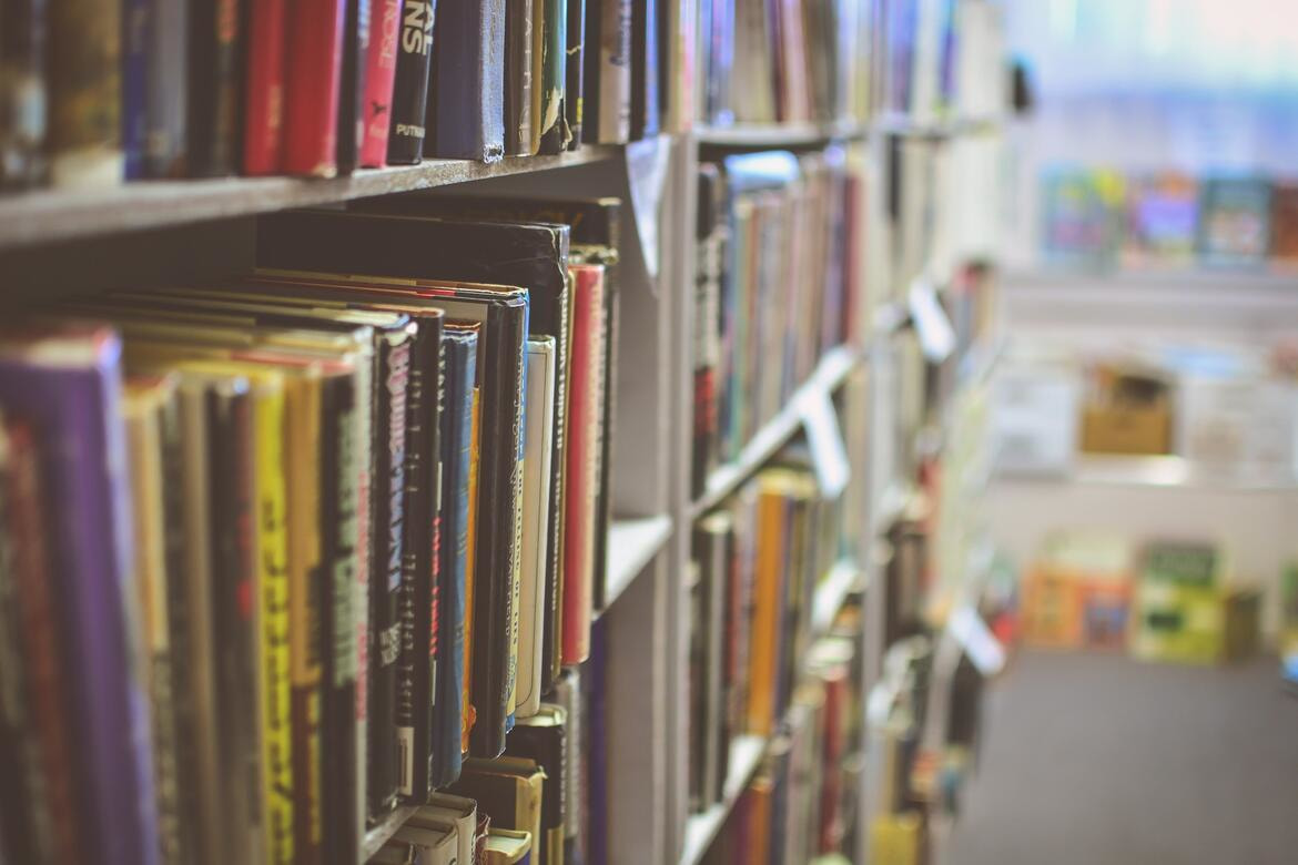 Immagine: library-2607146_1920286