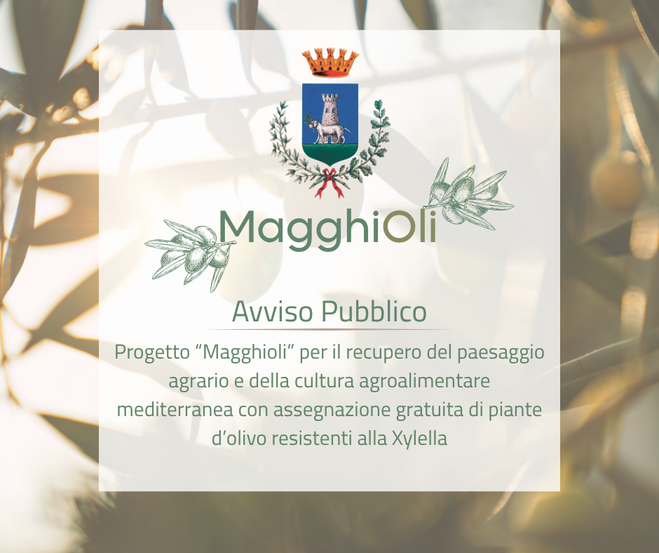 Immagine con titolo della notizia