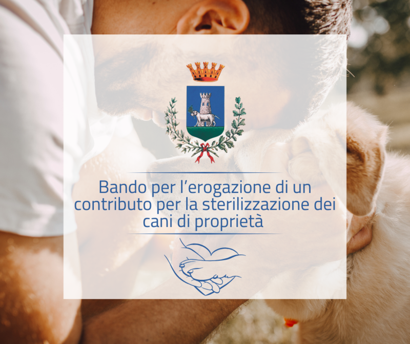 Immagine con il titolo dell'avviso