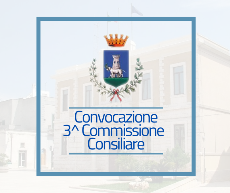 Immagine: Convocazione3Commissione175