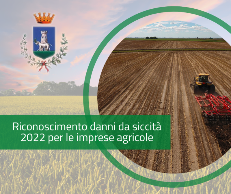 Immagine: DanniSiccita_2022157