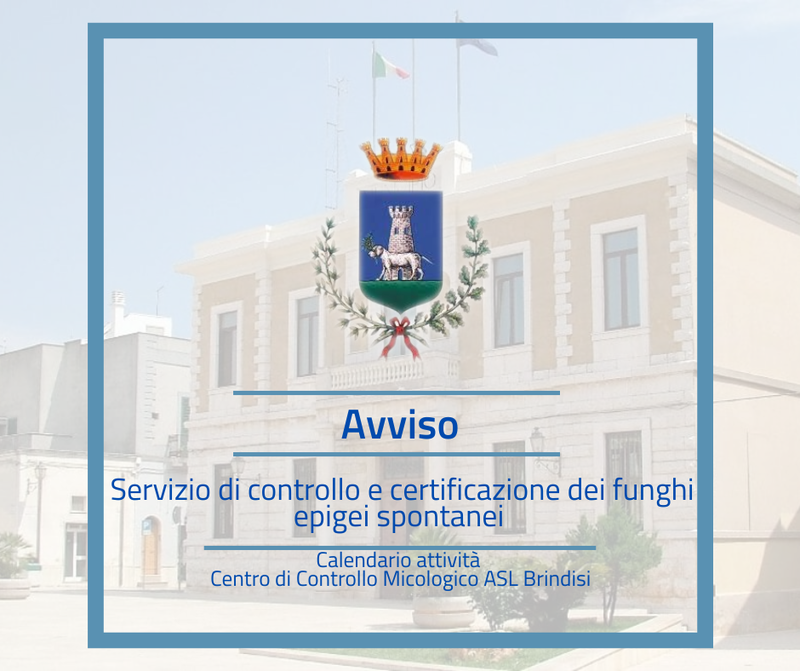 Immagine riportante titolo dell'avviso