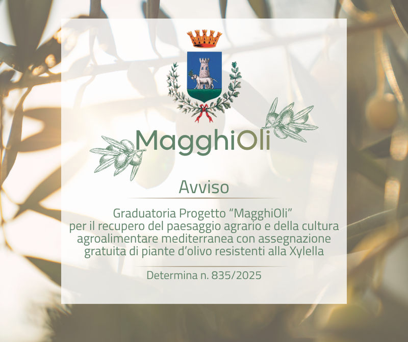 Immagine con il titolo dell'avviso