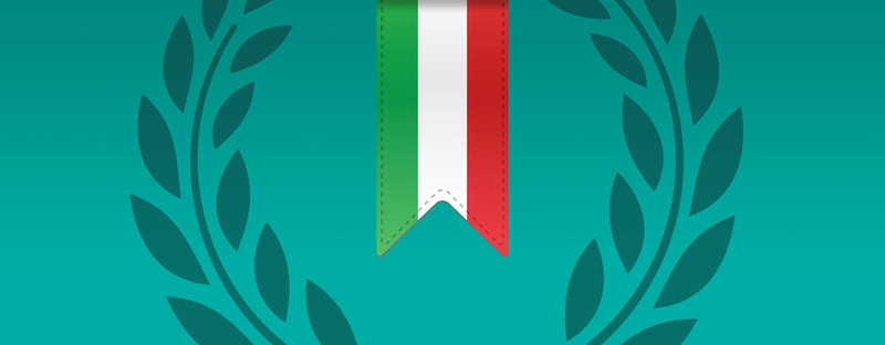 Immagine: Modello grafico fascia Sindaco