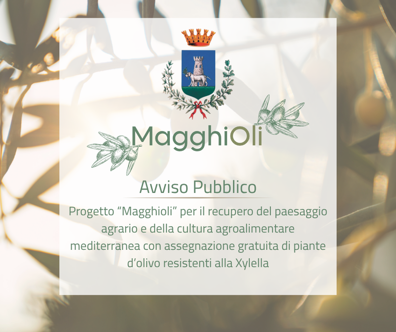 Immagine con titolo della notizia