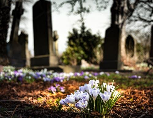Immagine: Tombe e fiori in primo piano